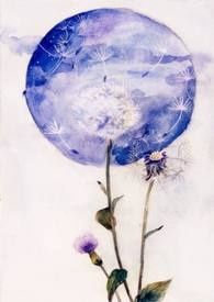 b9699294753d01cc35052bb160e882d5